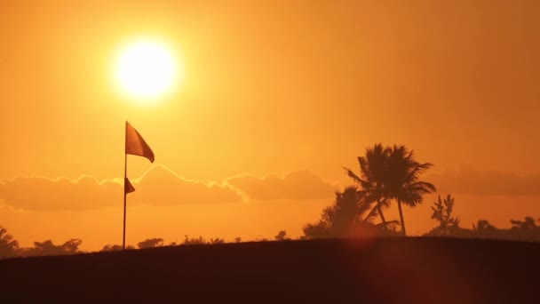 Pole Golfowe Flagstick Jezioro Palmy Sylwetki Zachód Słońca Golf Tropikalnej — Wideo stockowe