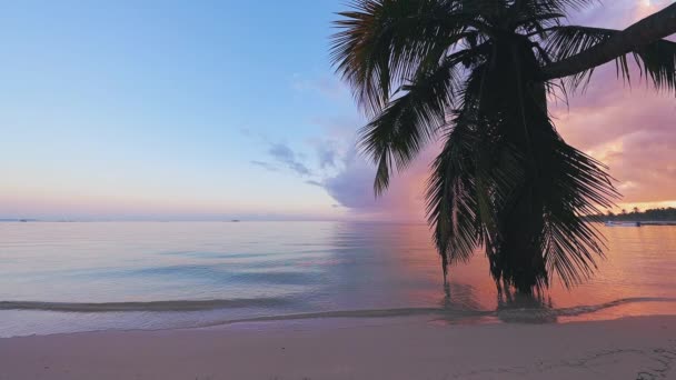 Salida Del Sol Tropical Sobre Océano Playa — Vídeos de Stock