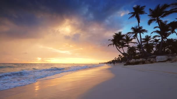 海洋和海滩上空的热带日出 — 图库视频影像