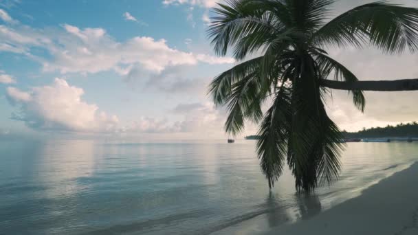 Răsărit Soare Peste Plaja Insulei Tropicale Palmieri Punta Cana Republica — Videoclip de stoc