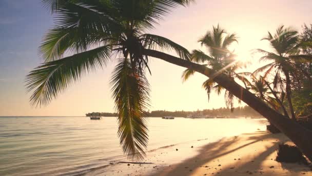 海洋和海滩上空的热带日出 — 图库视频影像
