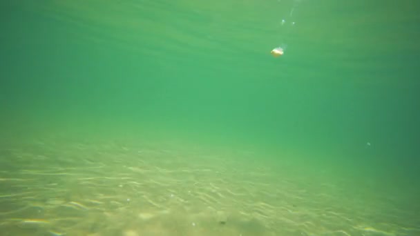 Meereswellen Unter Wasser Und Sonnenstrahlen — Stockvideo