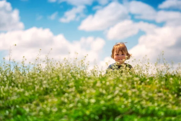Menino Feliz Desfrutando Grama Verde Primavera Com Flores Margarida Campo — Fotografia de Stock