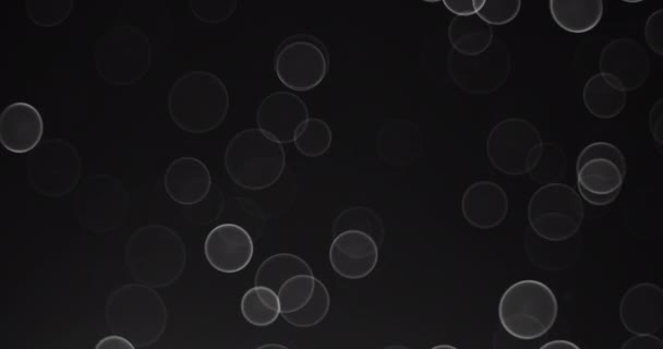 Defocus Bokeh Lumières Cyrcle Sur Fond Noir — Video