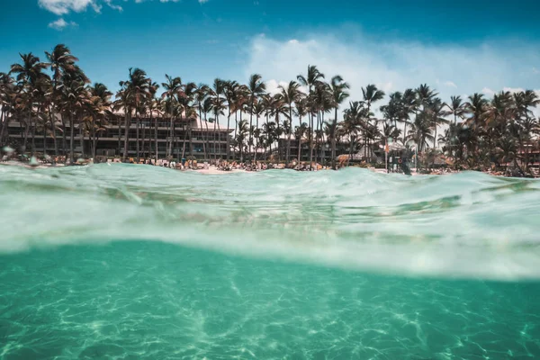 Palm Tropisch Strand — Stockfoto