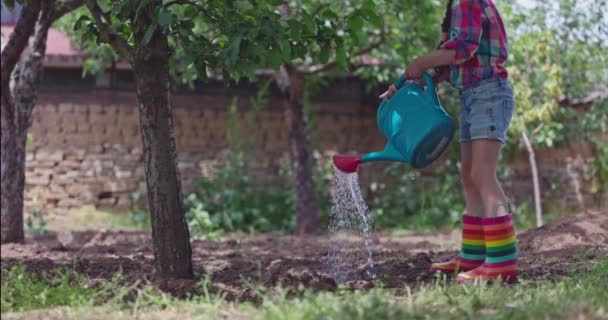 漂亮的小女孩 年轻的农民浇灌浇灌可以在花园里的果树 4K视频 — 图库视频影像