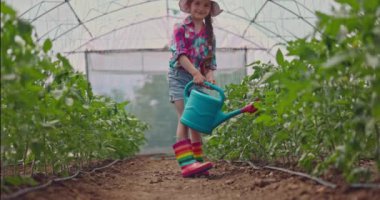 Küçük güzel kız, genç çiftçi serada sulama kutusuyla domates suluyor. Bahçecilik ve bahçıvanlık