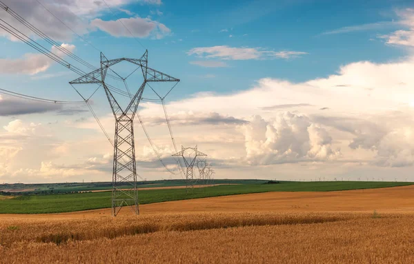 電力線と農業分野 高圧送電塔及びコムギ畑 — ストック写真