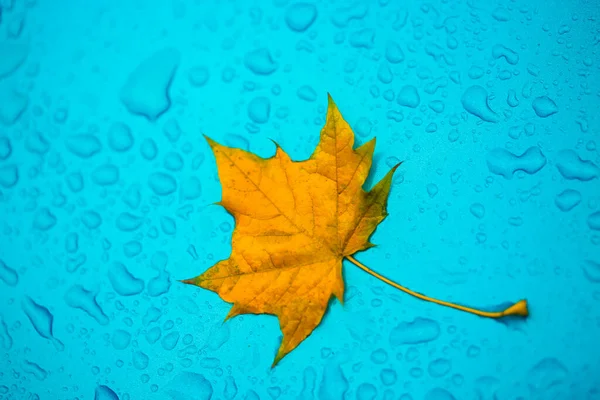 Foglia Gialla Gocce Sul Materiale Impermeabile Blu — Foto Stock