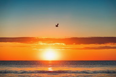 Plaj gündoğumu tropikal denizin üzerinde