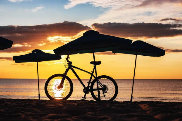 Silueta Paraguas Playa Bicicleta Toma Del Sol — Foto de Stock