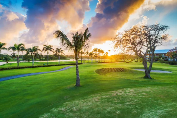 多米尼加共和国Punta Cana 日落时的热带高尔夫球场 — 图库照片