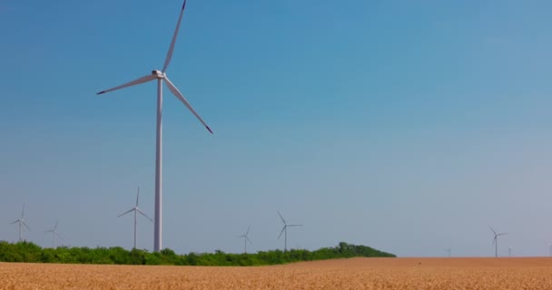 Větrné Turbíny Zemědělském Pšeničném Poli Venkově Větrné Mlýny — Stock video