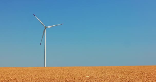 Turbinas Eólicas Elétricas Campo Trigo Agrícola Campo Moinhos Vento — Vídeo de Stock
