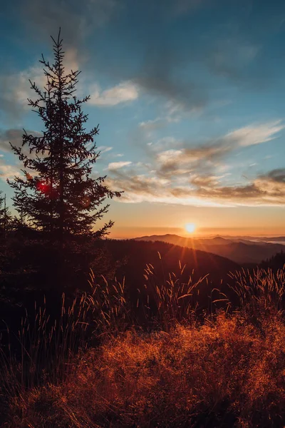 Autumn morning, sunrise shot