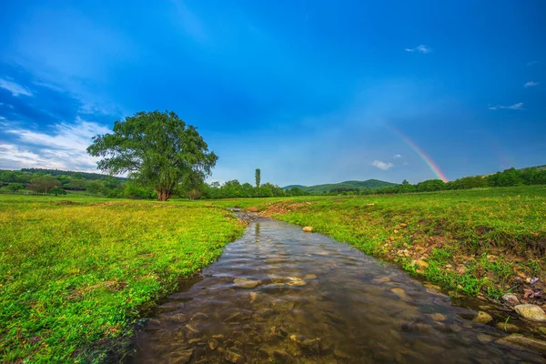 畑や木々や川の上に虹 — ストック写真