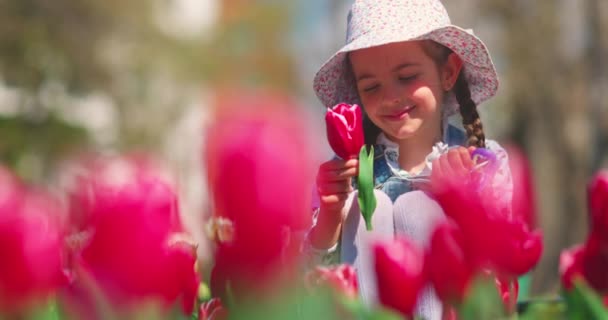Menina Bonita Desfrutando Jardim Colorido Tulipas Primavera Flores Cor — Vídeo de Stock