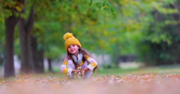 Падшие Цветные Листья Осеннем Парке Маленький Ребенок Наслаждается Осенью — стоковое видео