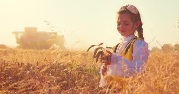 Dívka Bulharským Folklórním Kostýmem Poli Zemědělské Pšenice Během Sklizně Průmyslovým — Stock video