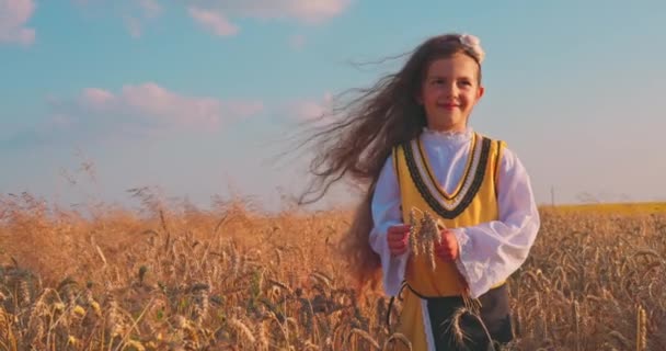 Zlaté Pšeničné Pole Holčička Bulharským Folklórním Kostýmem Během Sklizně Západu — Stock video