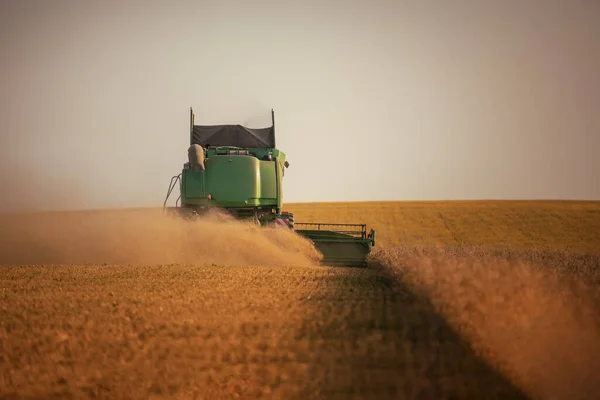 Combine Harvester Agricultura Máquina Colheita Dourado Maduro Trigo Fiel — Fotografia de Stock