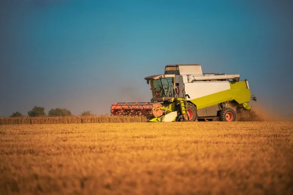 Combine Harvester Agriculture Machine Harvesting Golden Ripe Wheat Fiel — Stock Photo, Image