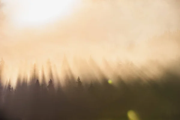 Nebbia Mattutina Sul Lago Colpo All Alba — Foto Stock