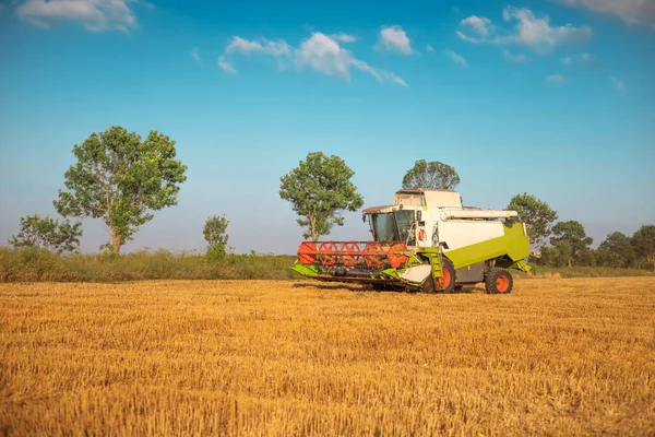 Combine Harvester Agriculture Machine Harvesting Golden Ripe Wheat Fiel — Stock Photo, Image