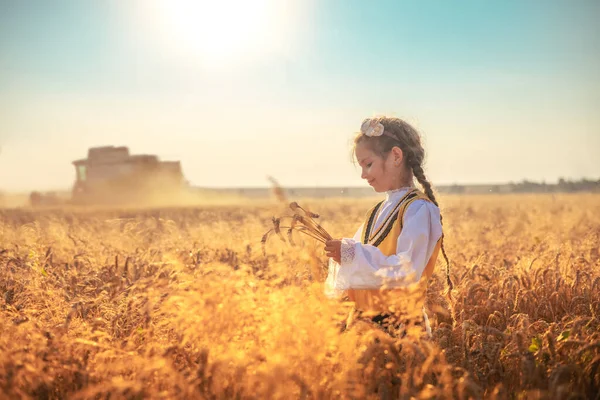 Gadis Muda Dengan Kostum Tradisional Bulgaria Ladang Gandum Pertanian Selama — Stok Foto