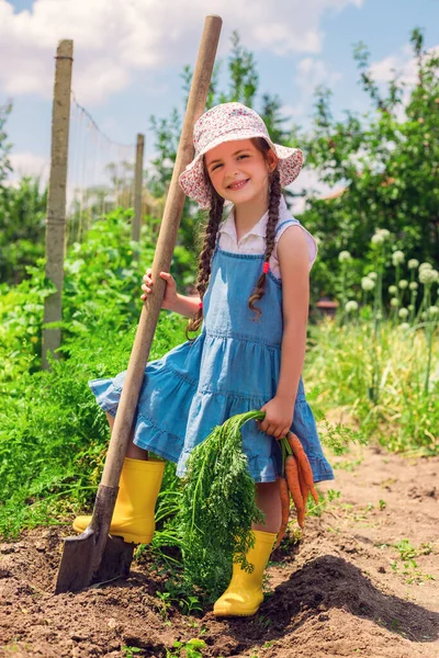 Anak Kecil Yang Cantik Dengan Wortel Kebun Petani Wanita Hortikultura — Stok Foto
