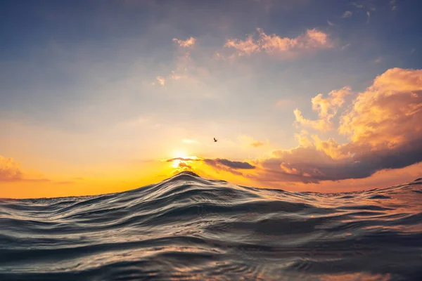 Sea Wave Close Low Angle View Sunrsie Shot — Stock Photo, Image