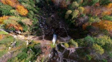 Sonbahar manzarası. Şelale, göller ve renkli orman. Plitvice Ulusal Parkı, Hırvatistan, hava aracı görünümü