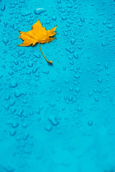 Gelbes Blatt Und Tropfen Auf Dem Blauen Wasserdichten Material — Stockfoto