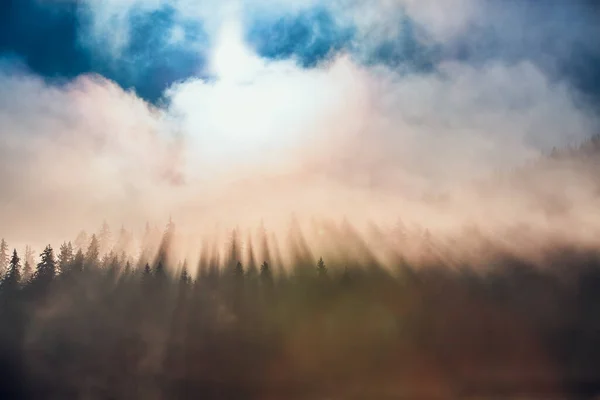 Nebbia Mattutina Sul Lago Colpo All Alba — Foto Stock