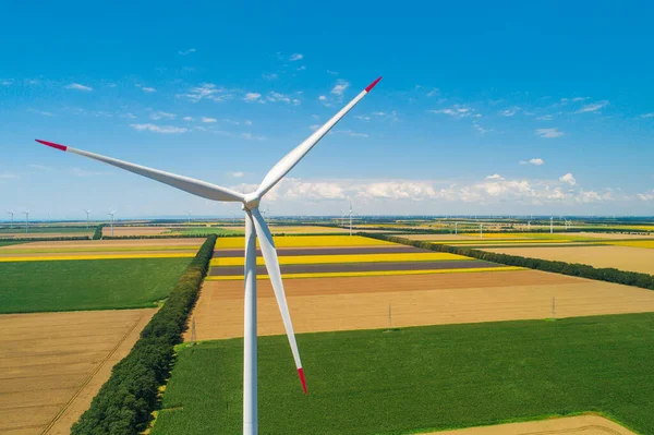 Mavi Gökyüzü Buğday Tarlası Rüzgar Türbinleri Elektrik Üretiyor — Stok fotoğraf