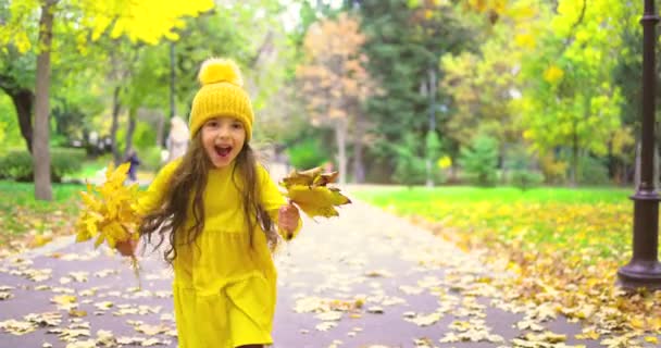 Szczęśliwa Piękna Dziewczyna Korzystających Jesienne Liście Natura Parku — Wideo stockowe