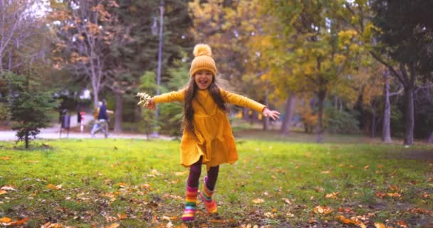Anak Kecil Yang Bahagia Tertawa Dan Bermain Dengan Daun Gugur — Stok Video
