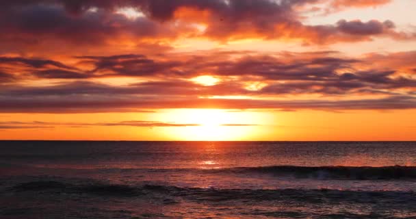 Ocean Beach Sunrise Dramatic Sky Clouds Golden Sun Rays Waves — Stock Video