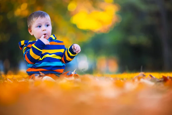 秋の公園でかわいい赤ちゃんの男の子の遊びとともに落ち葉 — ストック写真