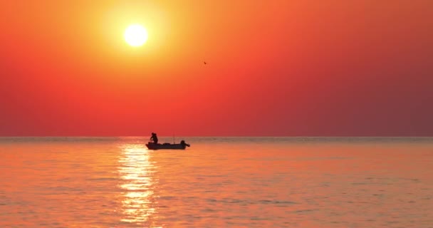 Cênico Nascer Sol Mar Pássaros Voadores Barco Pesca Com Pescador — Vídeo de Stock