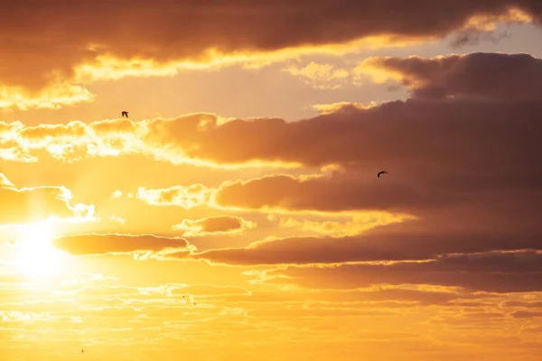 Západ Slunce Dramatické Mraky Oblohy Slunečním Paprskem Létající Ptáci — Stock fotografie