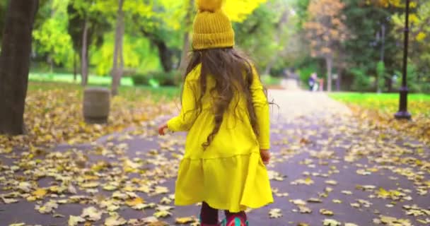Счастливый Маленький Ребенок Парке Девушка Смеется Играет Падающими Осенними Листьями — стоковое видео
