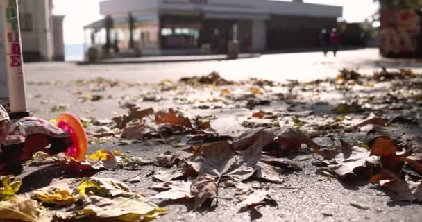 秋の街で 公園で秋の葉の上に子供の乗馬スクーター — ストック動画