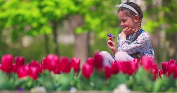 快乐的女孩欣赏着城市公园美丽花园的芬芳和色彩 春郁金香 — 图库视频影像