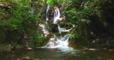 Yeşil orman ve şelale suyu eski kaya taşları arasında akıyor..