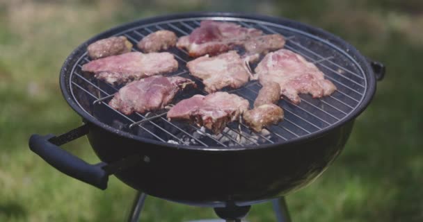 Churrasqueira Grelhada Churrasco Prepare Carne Crua Churrasco Família Piquenique Livre — Vídeo de Stock