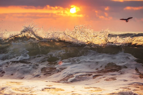 Salida del sol y olas brillantes en el océano —  Fotos de Stock