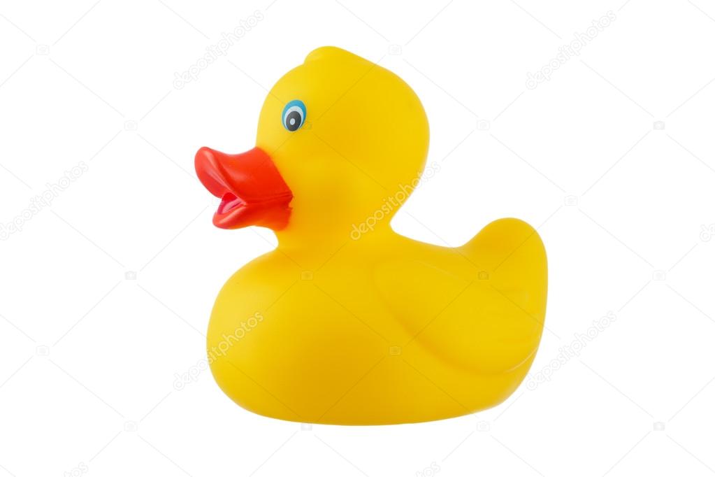 Yellow rubber duck, isolated on white