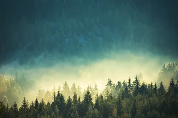 Blick auf neblige Nebelberge im Herbst — Stockfoto