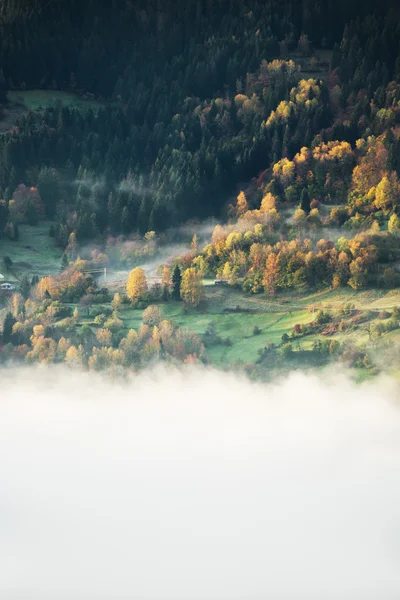Veduta delle nebbie nebbiose in autunno — Foto Stock